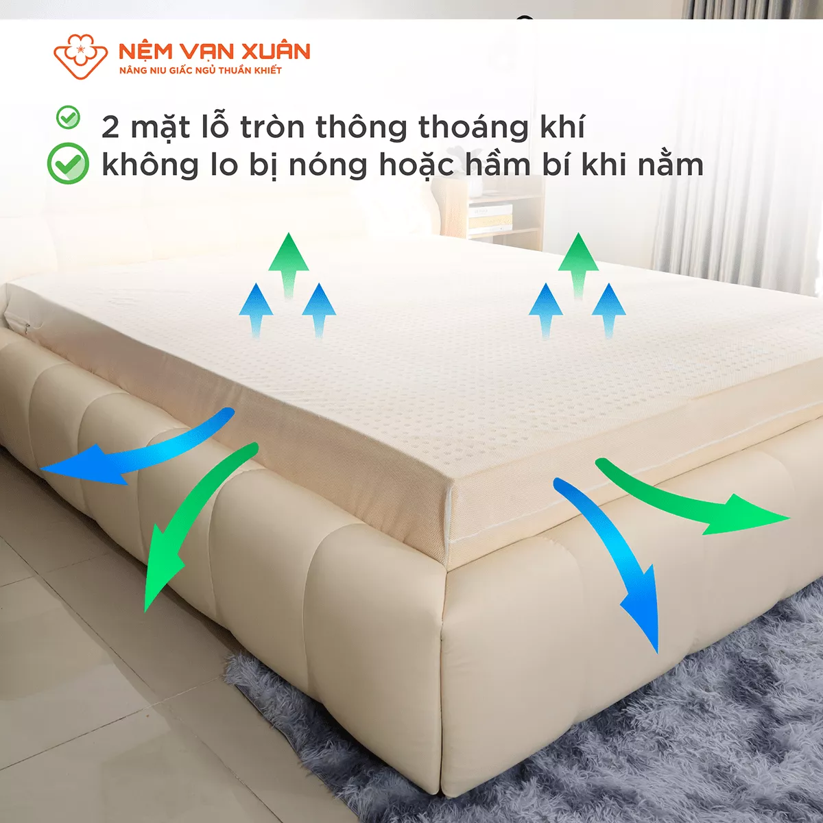 Nệm Cao Su Thiên Nhiên Liên Kết Vạn Xuân Lotus Original