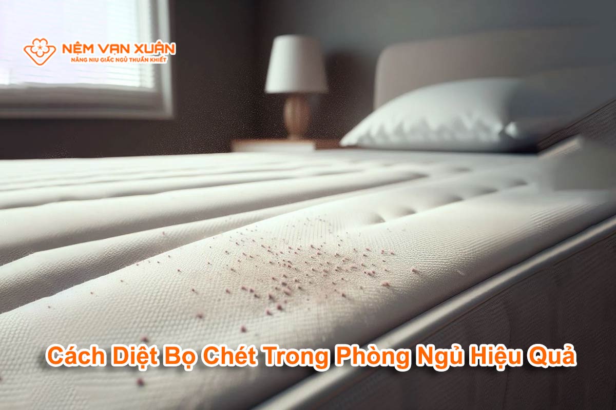 Cách Diệt Bọ Chét Trong Phòng Ngủ Hiệu Quả